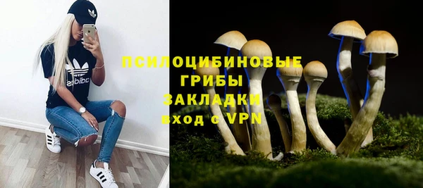 марихуана Абаза