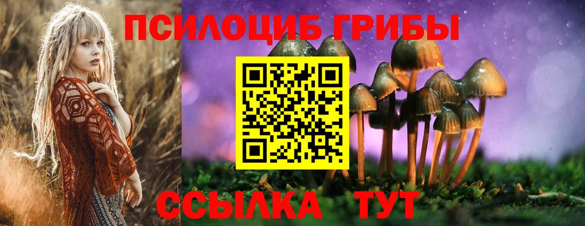 Стерлитамак  Галлюциногенные грибы GOLDEN TEACHER  Псилоцибиновые грибы мухоморы  Вход с VPN 